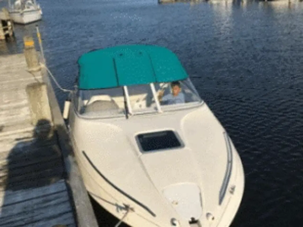 Billede 3 - Speedbåd sælges