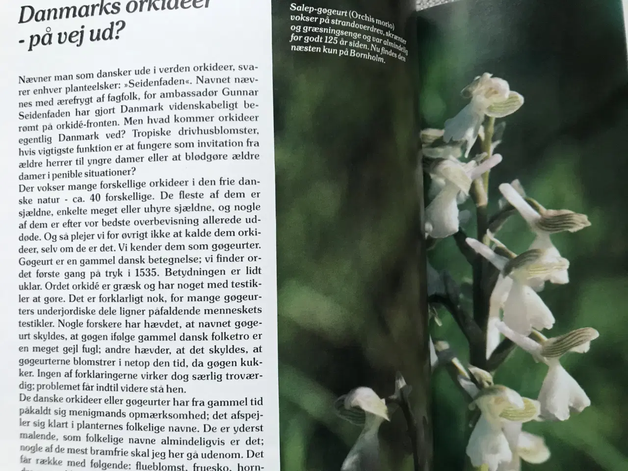 Billede 6 - 4 stk. Naturårsbøger