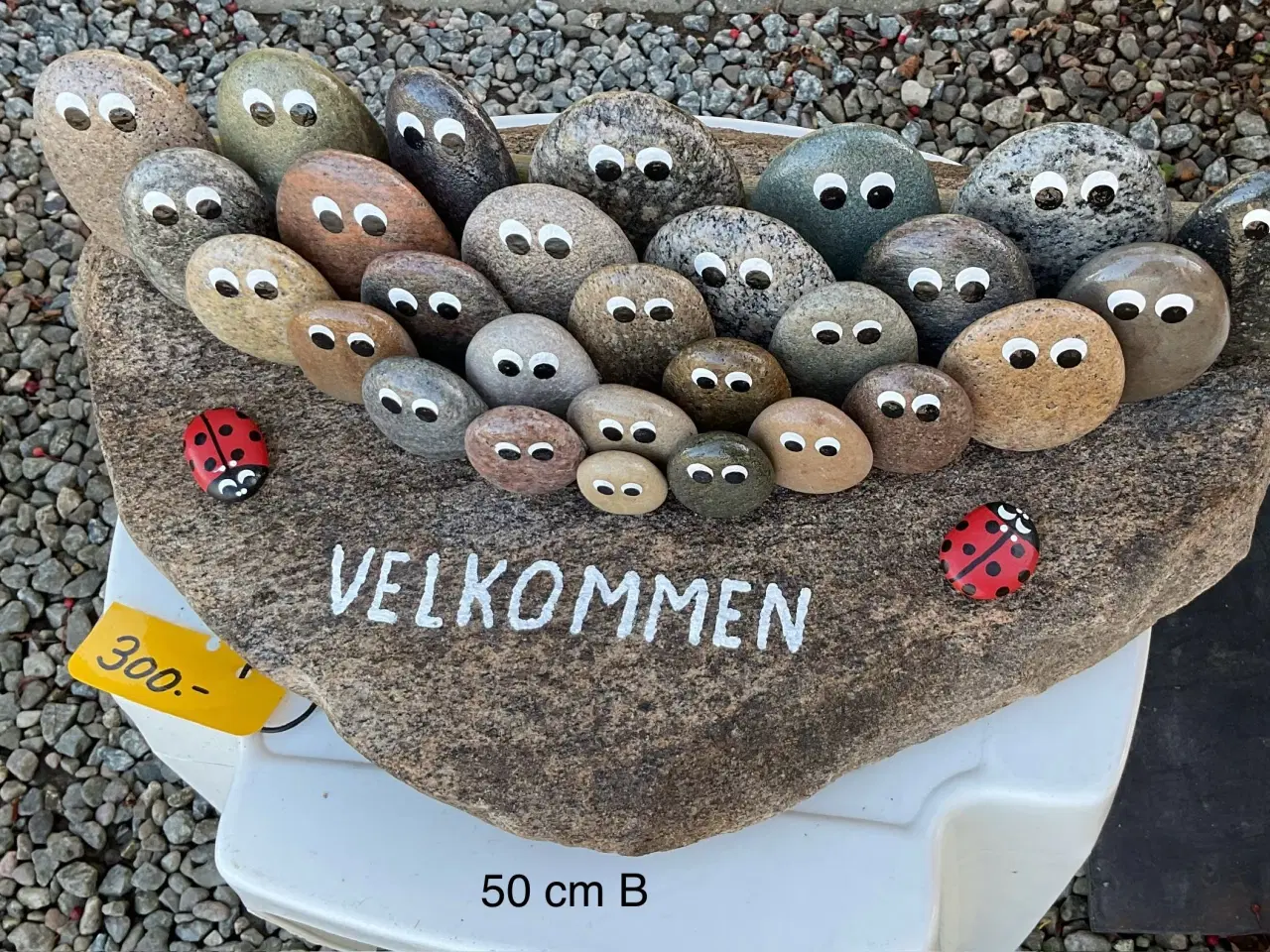 Billede 1 - STOR ØJESTEN