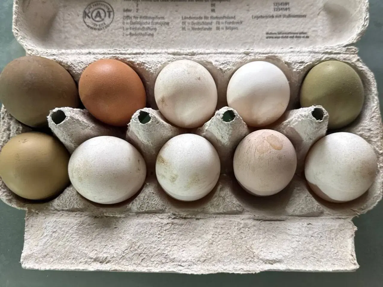 Billede 1 - 10 æg fra mine fritgående høns til salg i 6818 Årr
