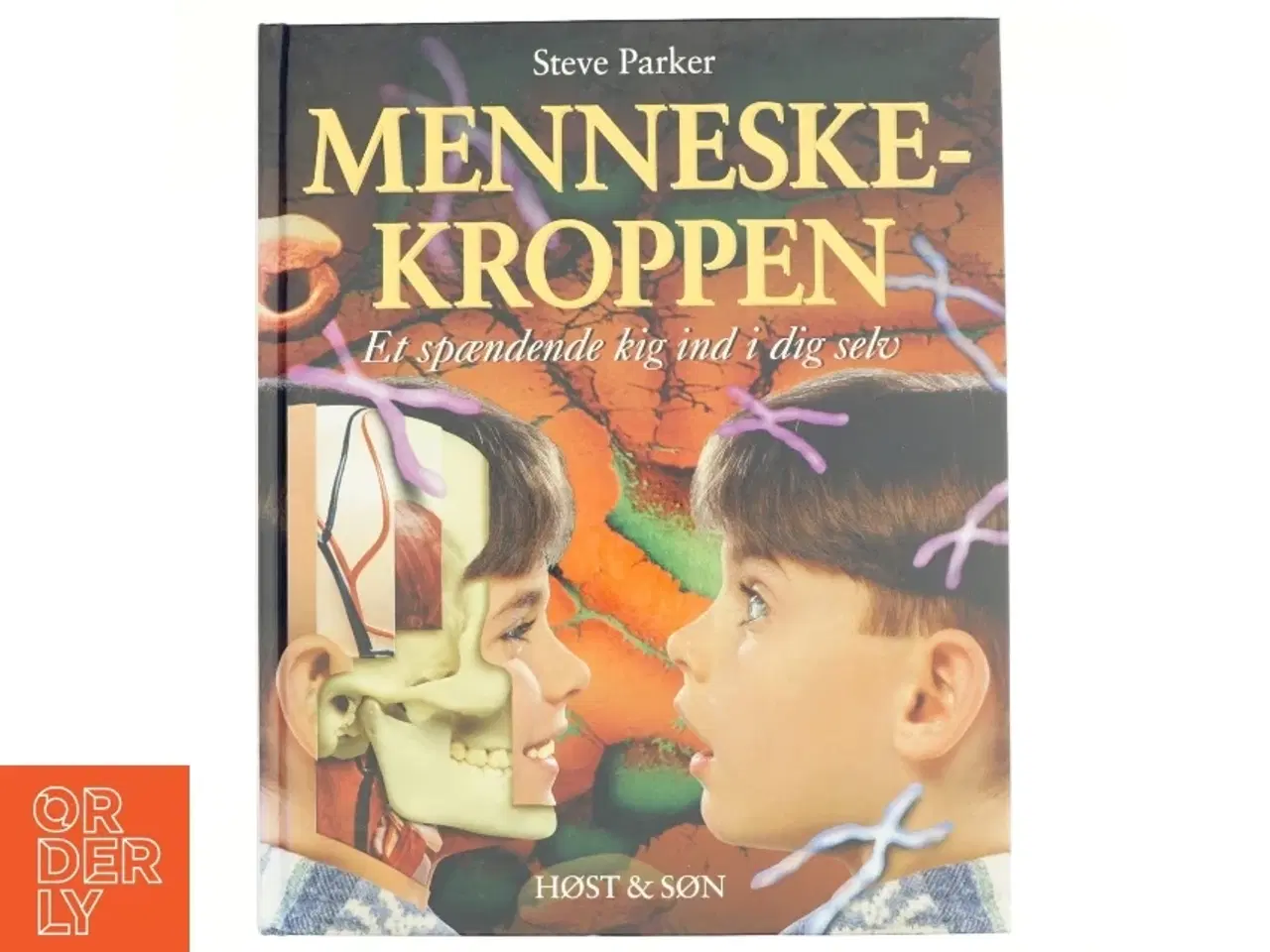 Billede 1 - Menneskekroppen : et spændende kig ind i dig selv! af Steve Parker (Bog)