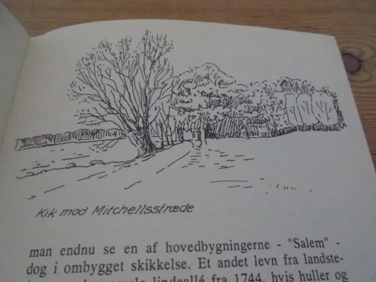 Billede 3 - RUNDT OM GENTOFTE SØ – Se fotos og omtale