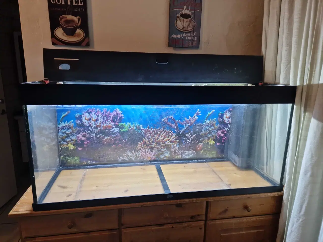 Billede 1 - 240 liter akvarium