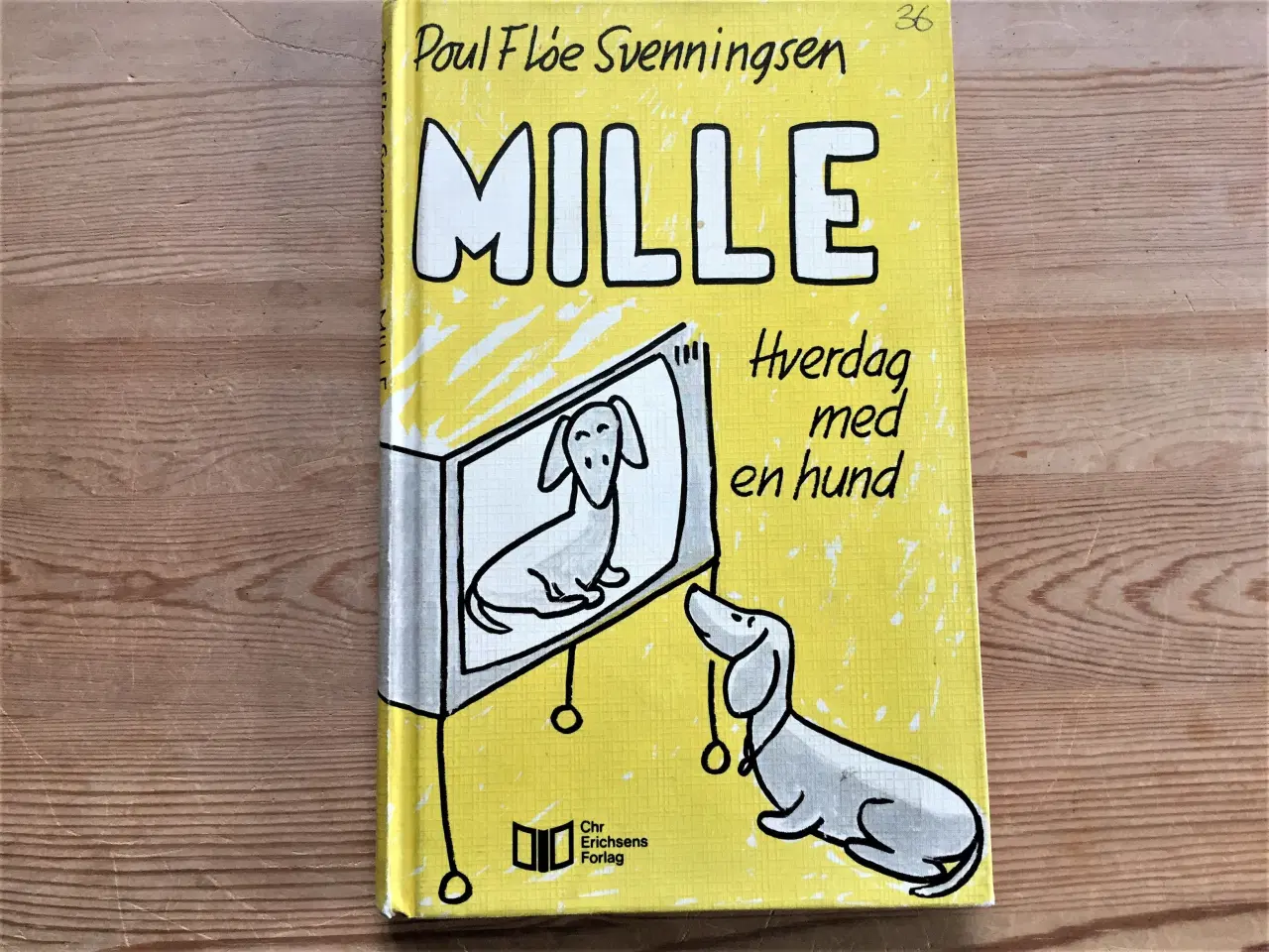 Billede 1 - MILLE, Hverdag med en hund