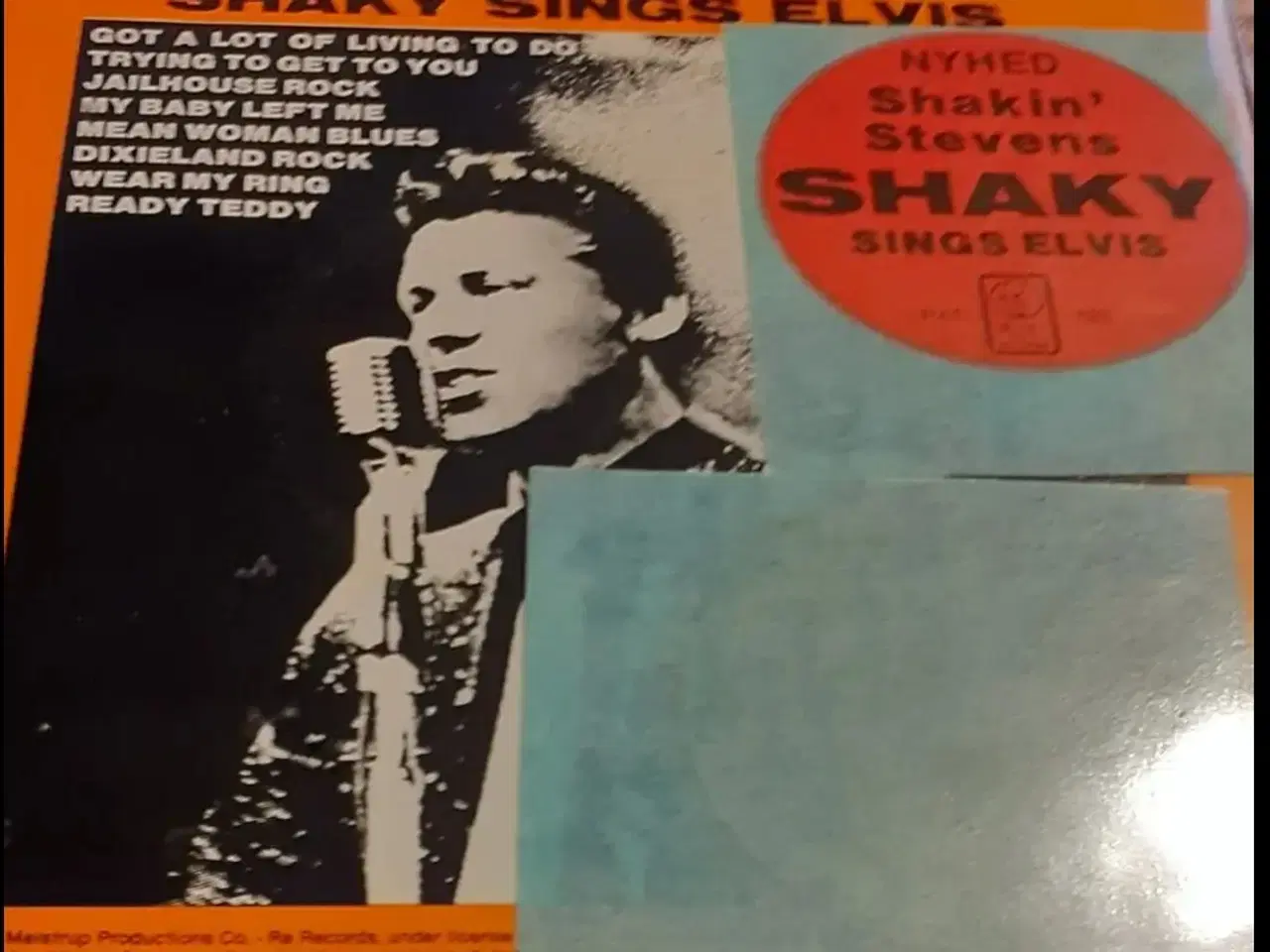 Billede 15 - Kalder alle shaky fans