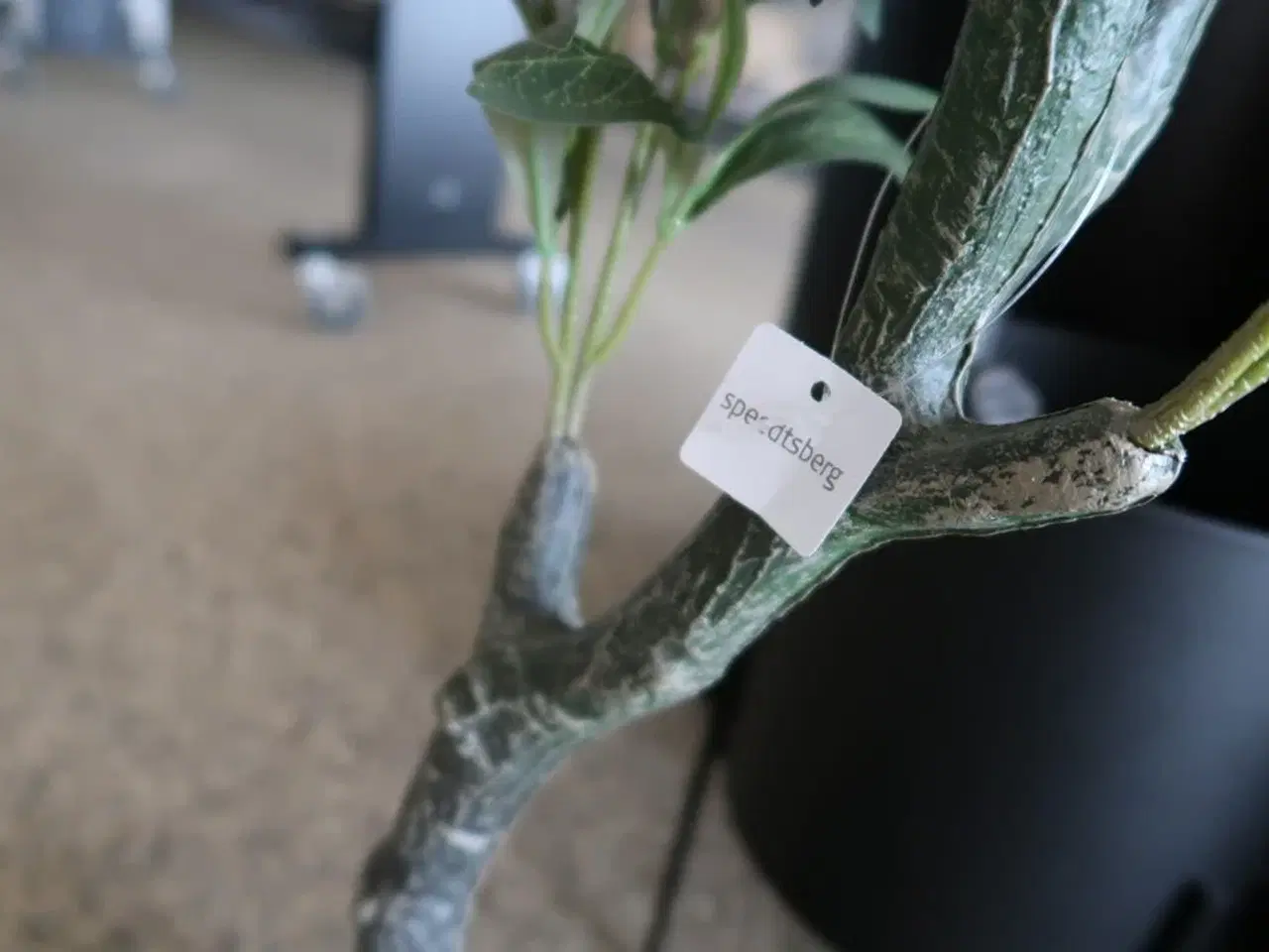 Billede 4 - Kunstig plante i krukke SPEEDTSBERG