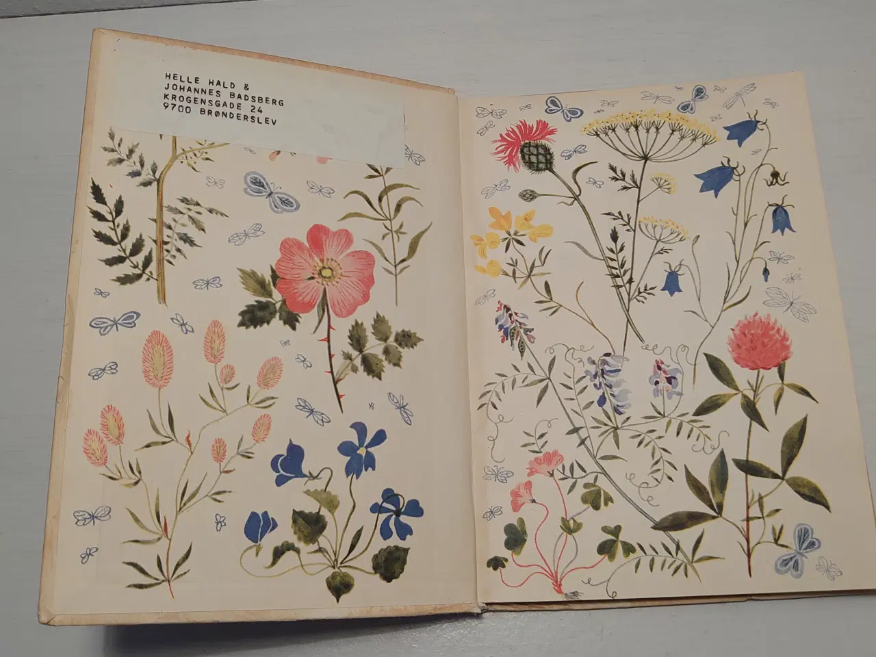Billede 3 - Harriet Hjorth:Min første blomsterbog. 1.udg.1954