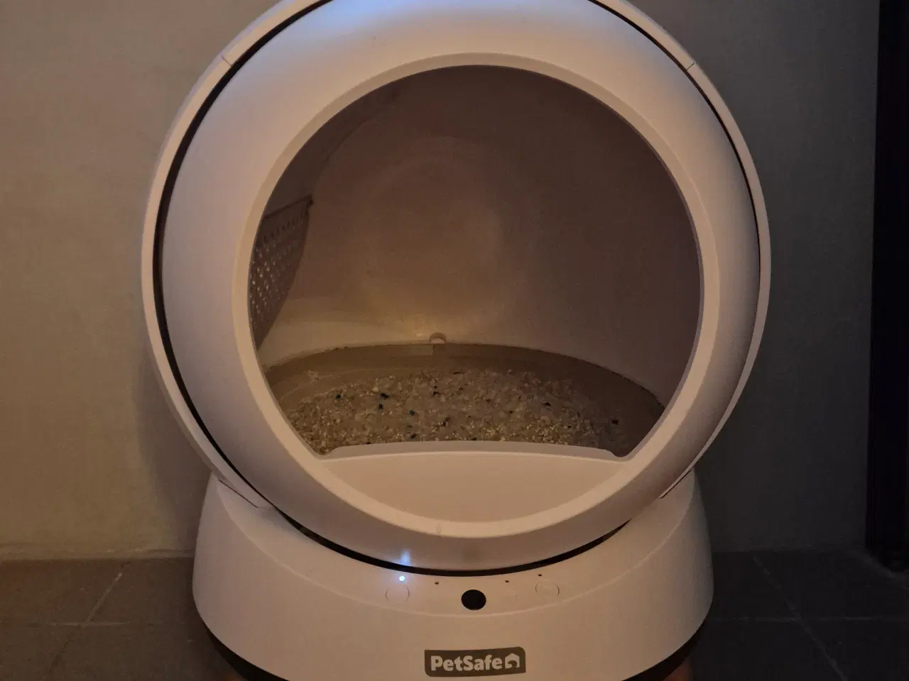 Billede 12 - Russian blue hankat