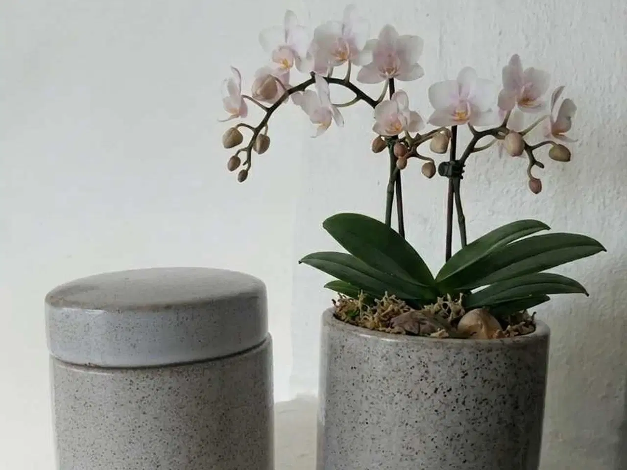 Billede 1 - Rustikke keramik krukker – Sæt med 2 | 