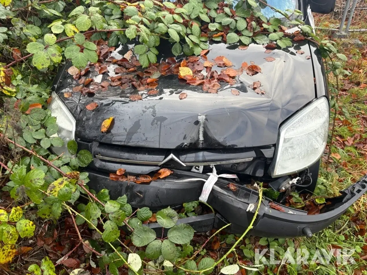 Billede 3 - Personbil Citroen Berlingo