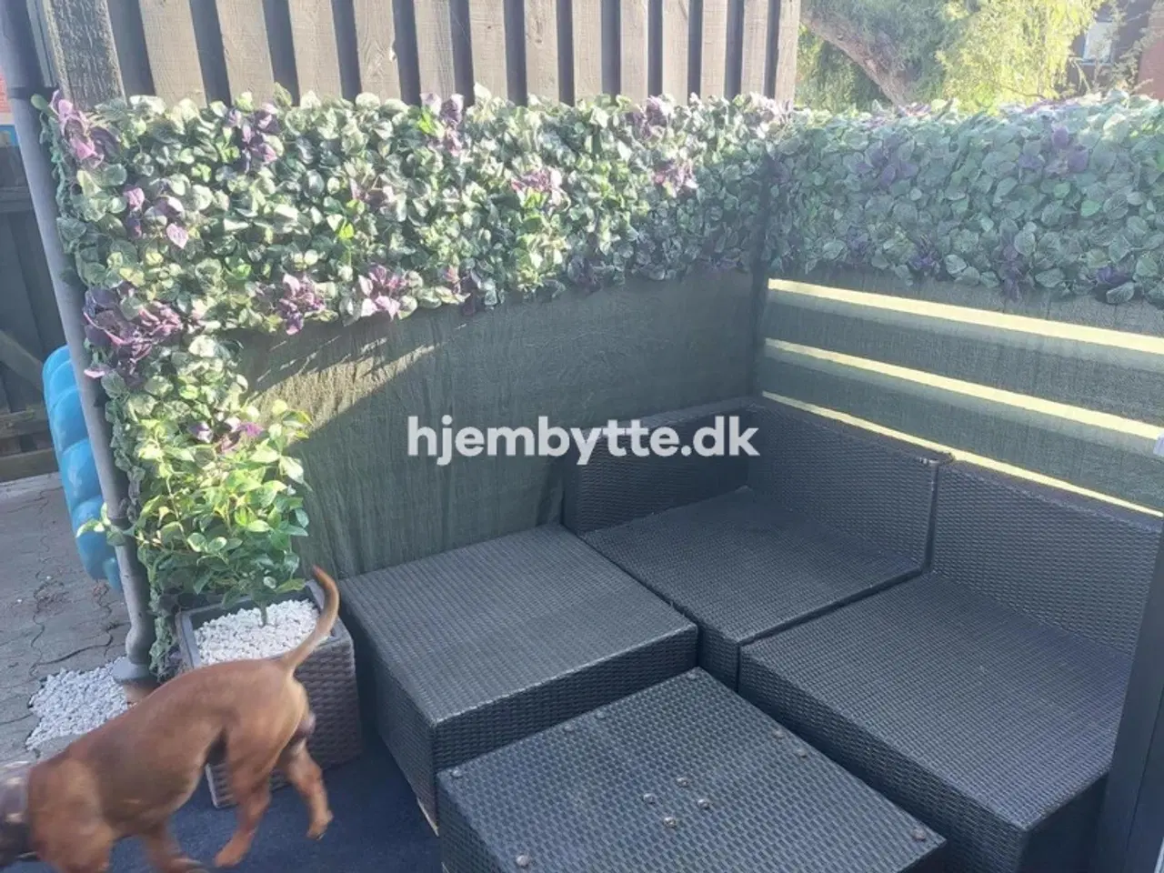 Billede 2 - Hjembytte - Toskiftevej