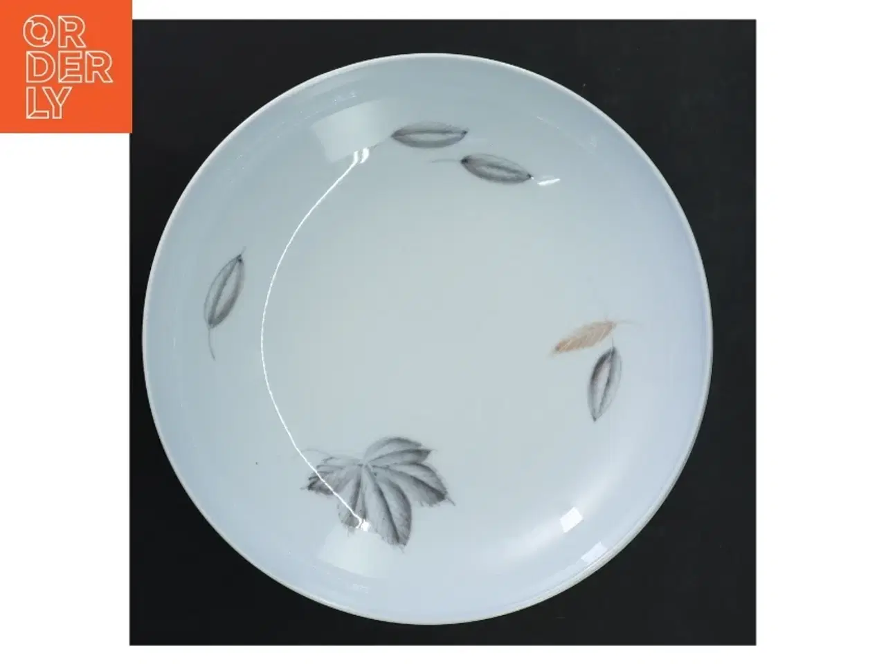 Billede 4 - Keramiktallerkner med bladmotiv fra B&G (str. 20,5 cm i diameter)