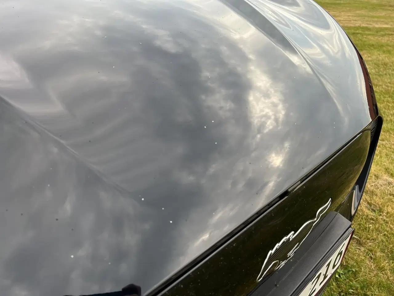 Billede 19 - Ford Mustang Mach-E 98 Extended Range