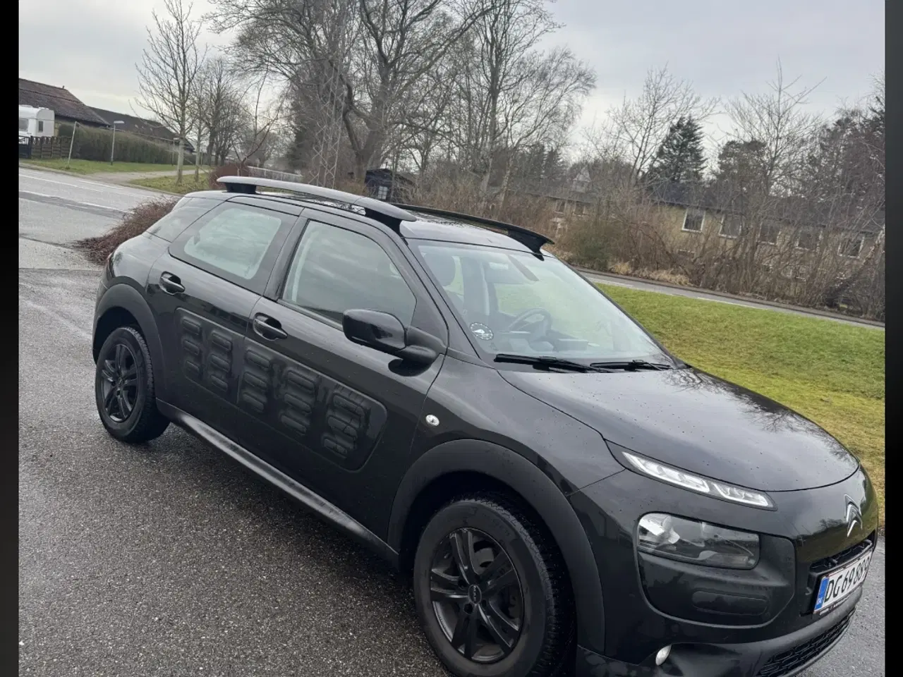 Billede 2 - Citroën C4 Cactus SKYLINE 