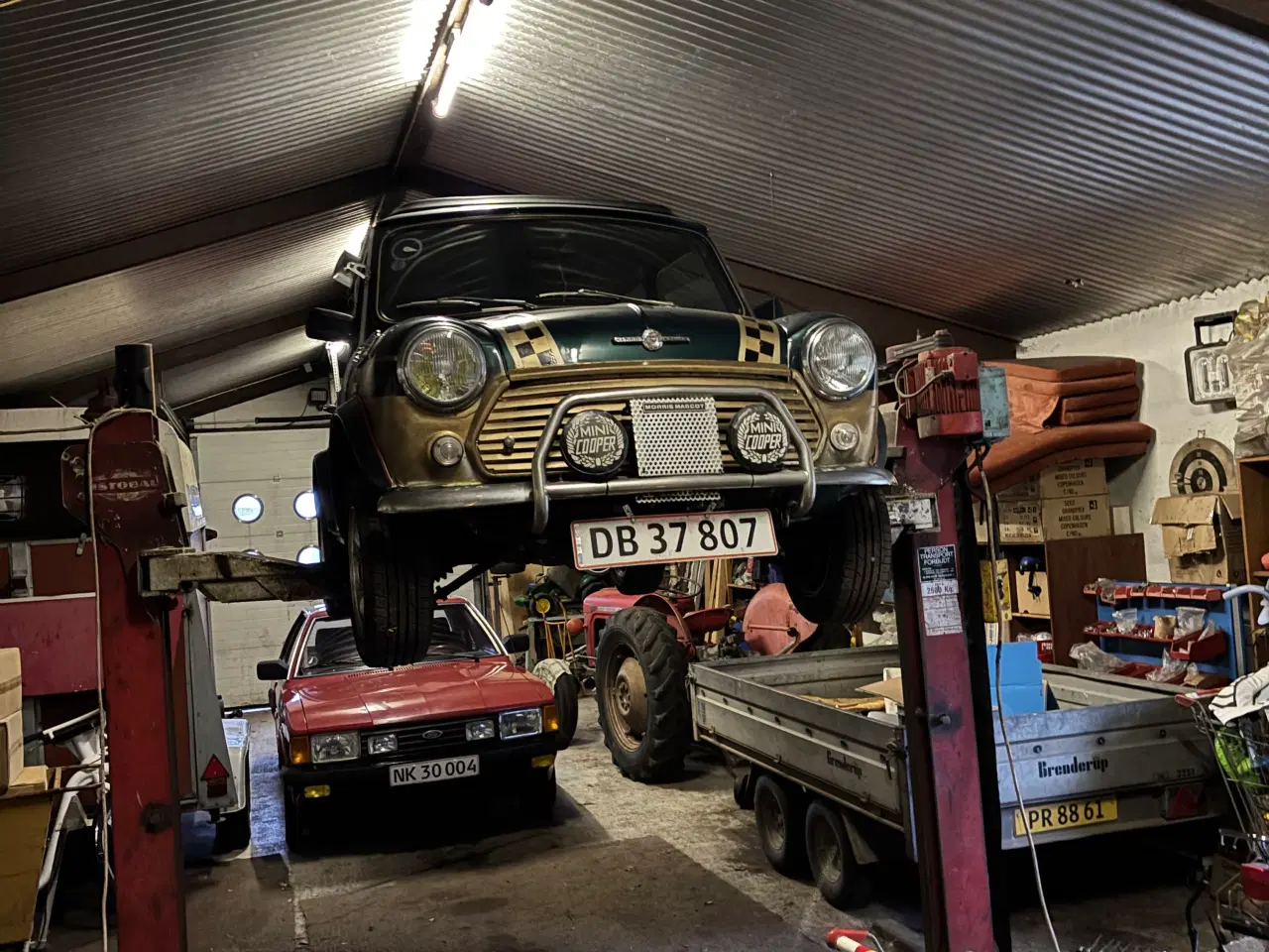 Billede 15 - Morris Mascot