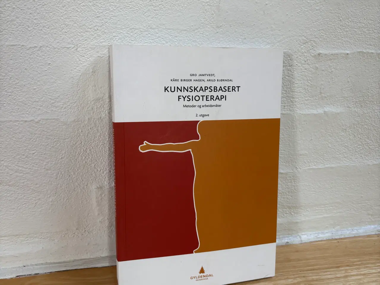 Billede 1 - Kunnskapsbasert fysioterapi