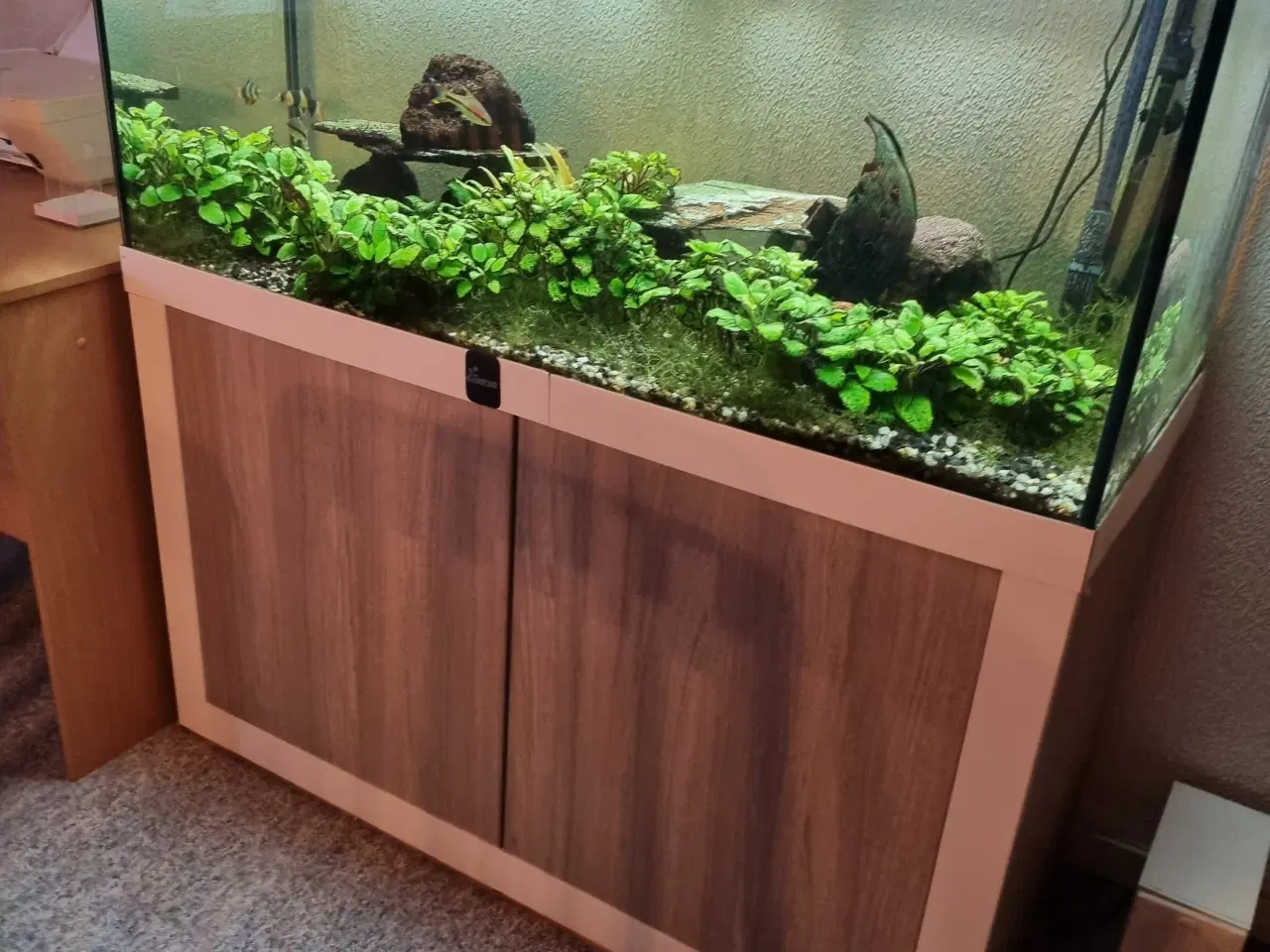 Billede 1 - Diversa 300l akvarie med bord