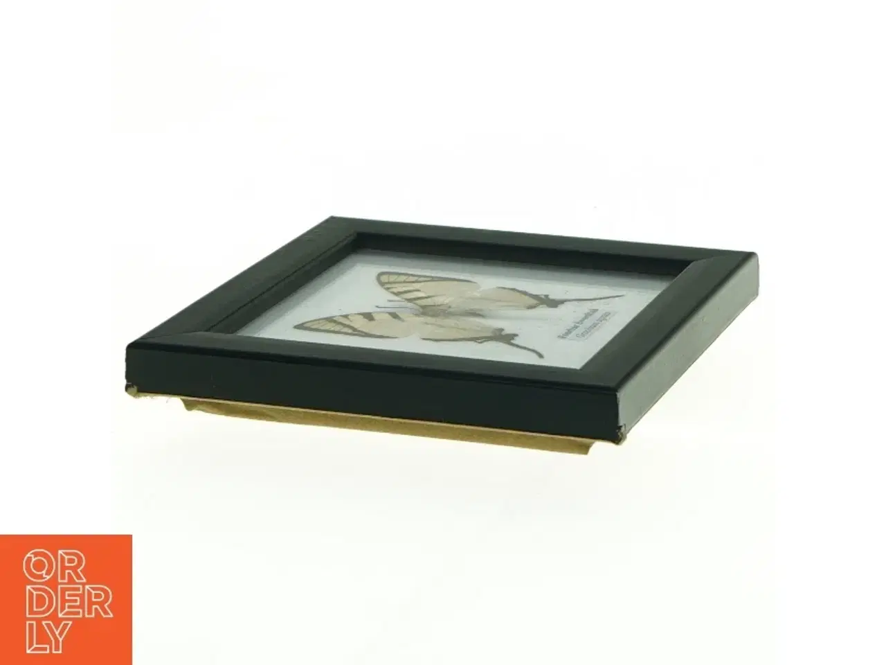Billede 3 - Indrammet sommerfugl (str. 12 x 12 cm)