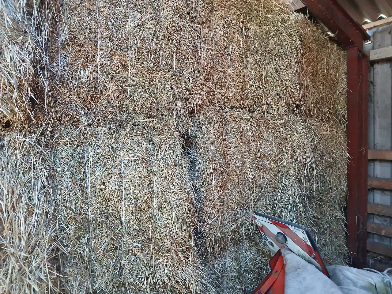 Billede 2 - Hø lavet på heste blanding