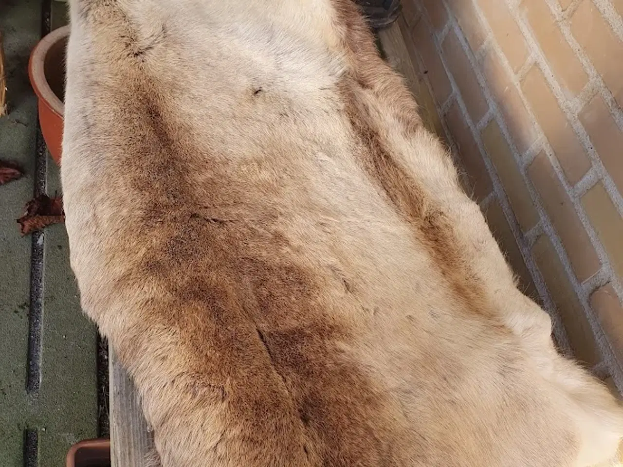 Billede 6 - Lækre rensdyrskind - varmt ligge-sidde underlag.