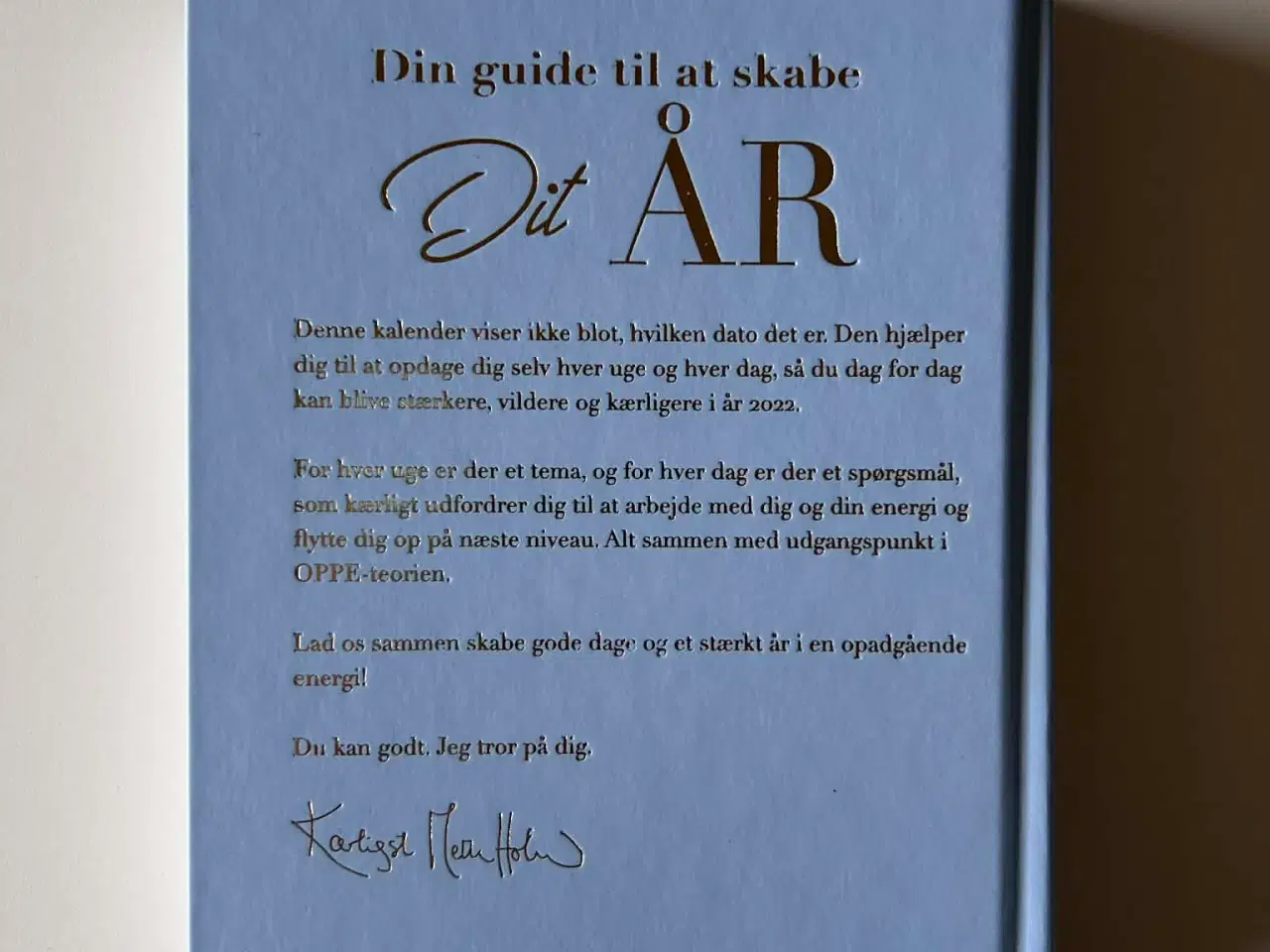 Billede 2 - Mit år 2022, Mette Holm