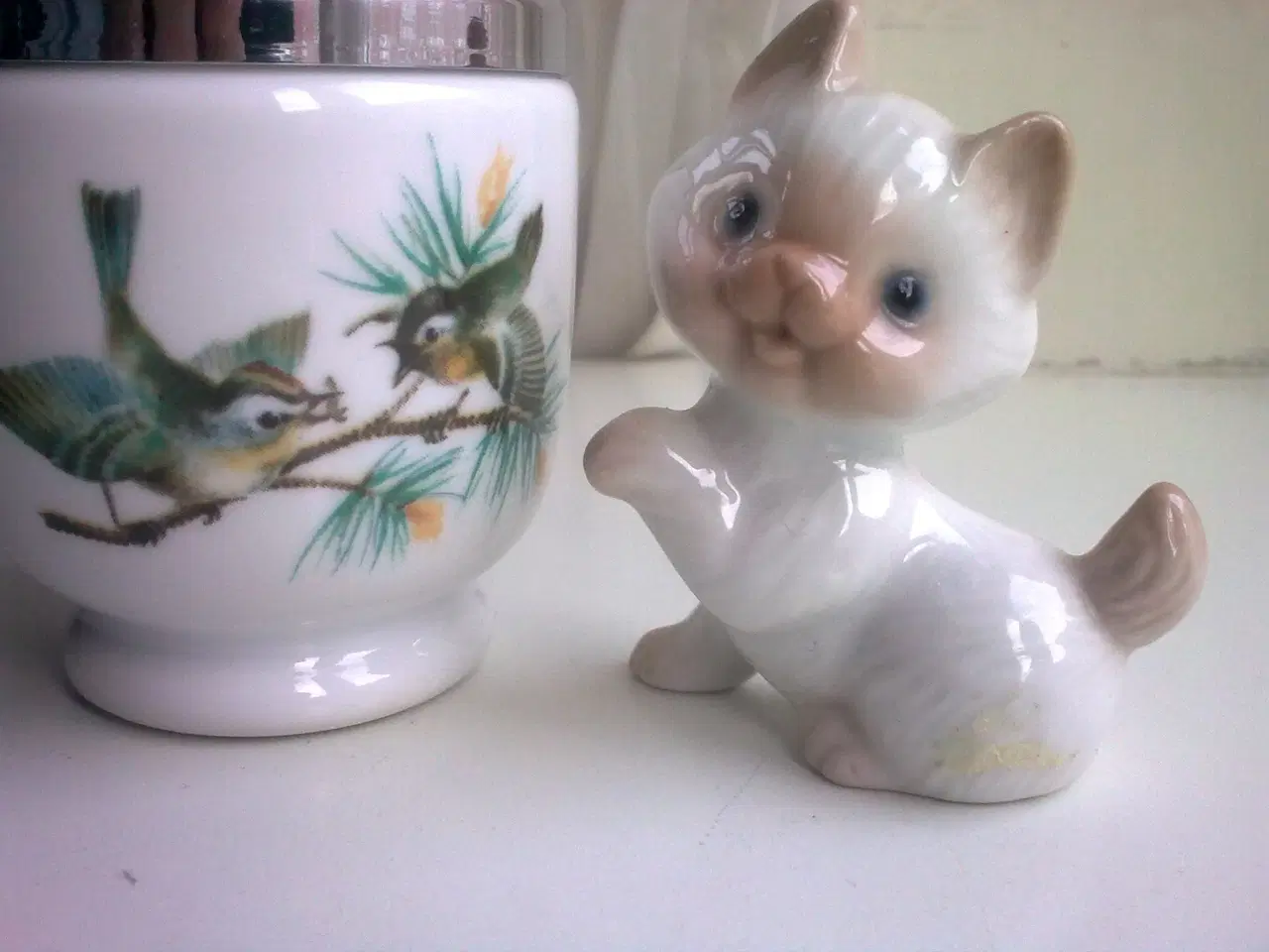 Billede 7 - Ragdoll misinformation m Birdie Nam Nam