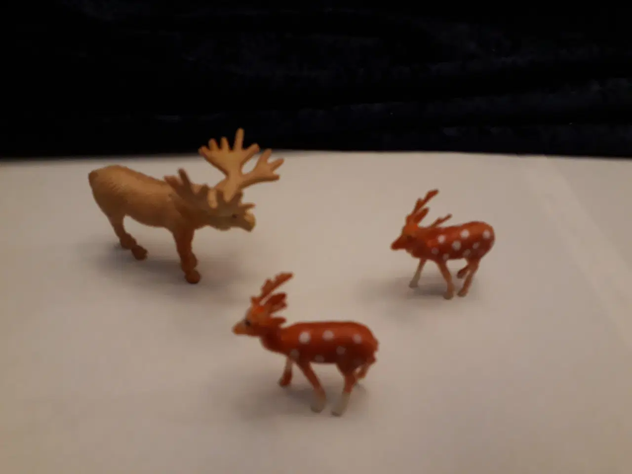 Billede 9 - Tog og Rensdyr