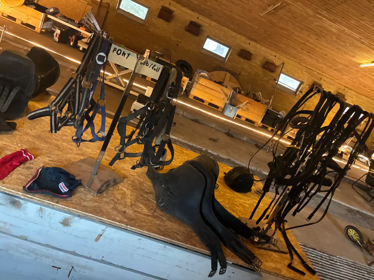 Billede 7 - Udstyr til hest