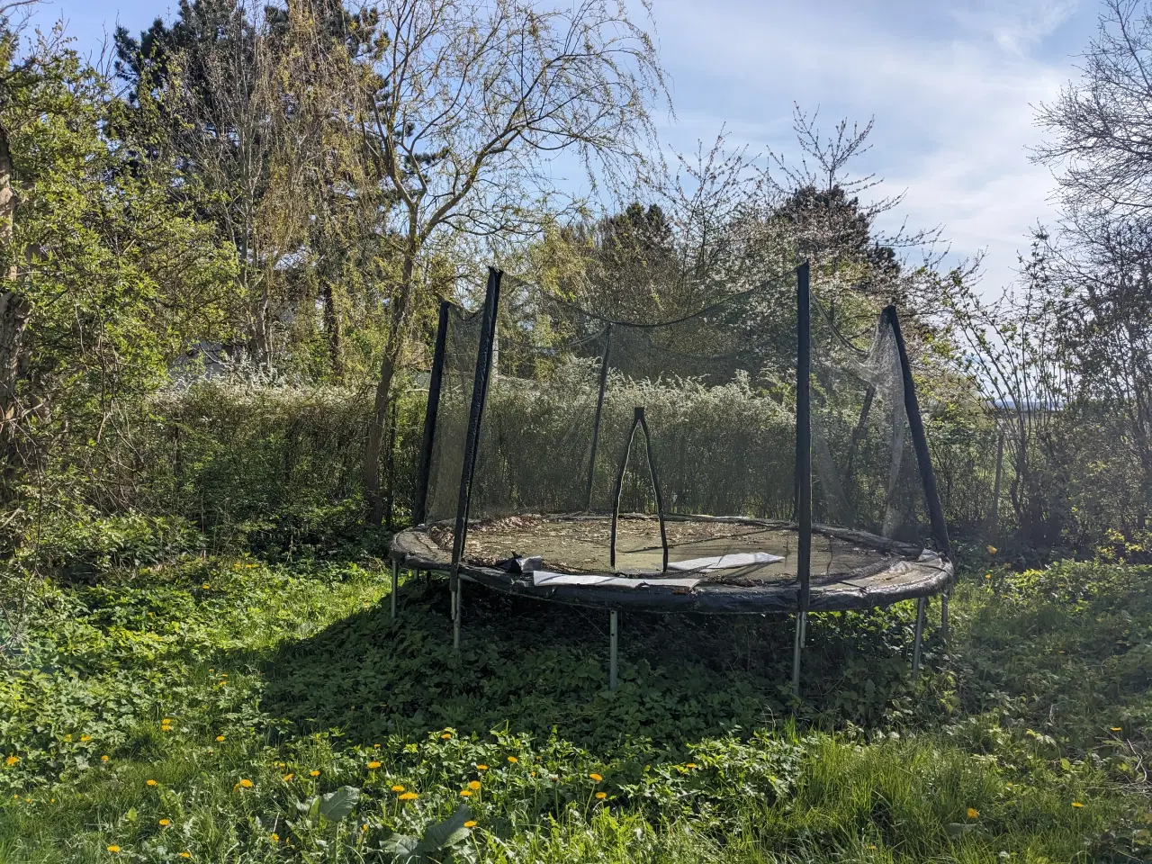 Billede 1 - 7 år gammel trampolin gives væk.