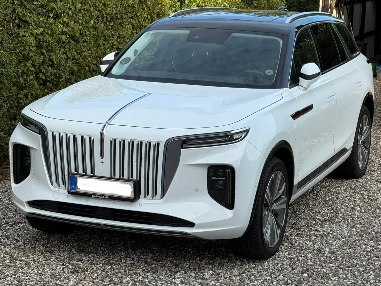 Billede 2 - Hongqi E-HS9 84 Comfort