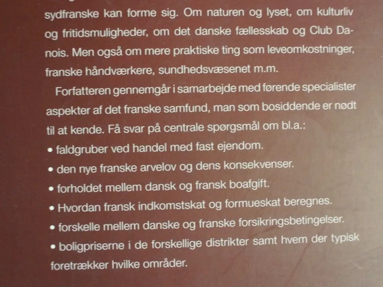 Billede 3 - enkeltbillet til sydfrankrig - en praktisk guide t