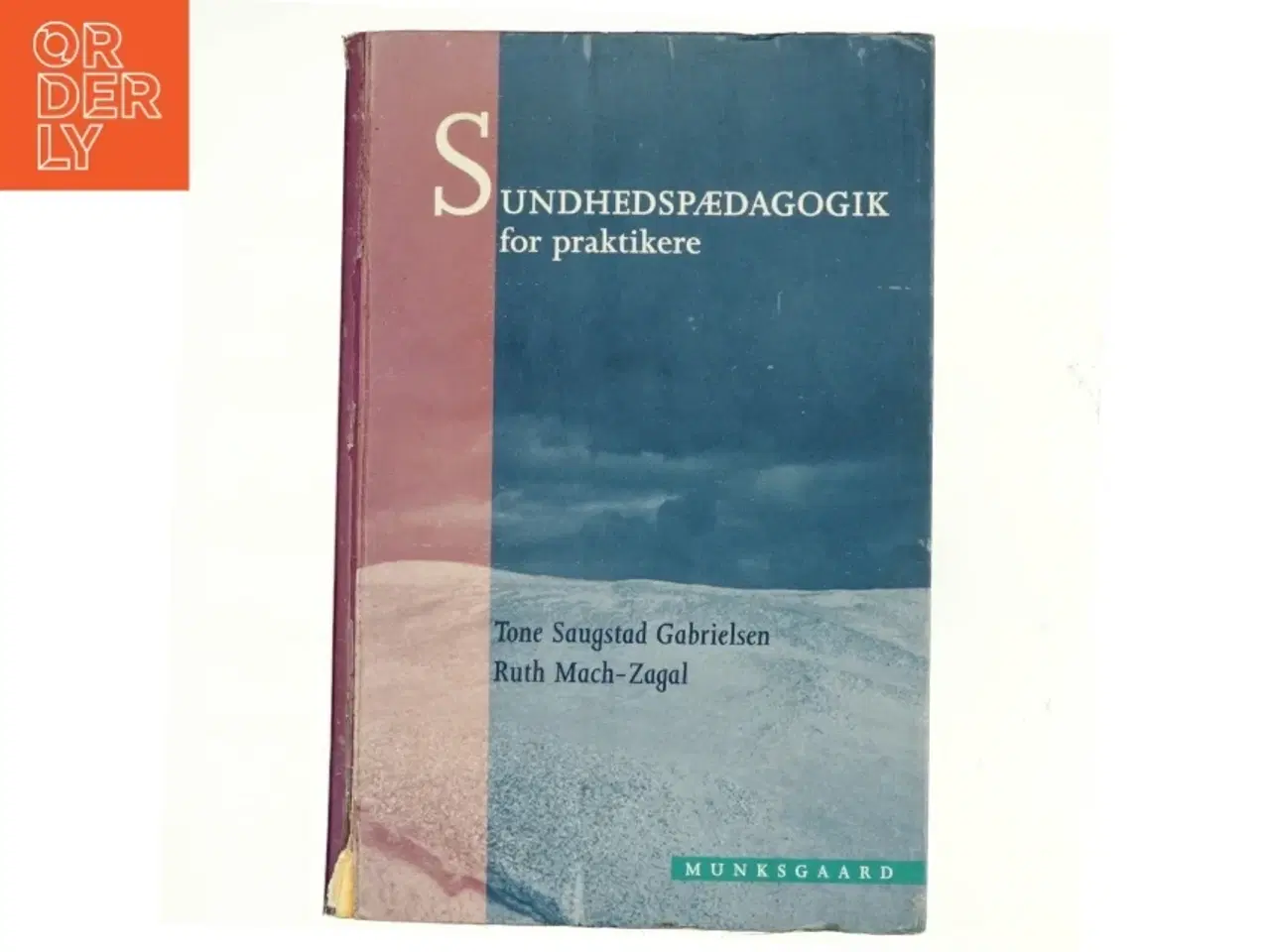 Billede 1 - Sundhedspædagogik for praktikere