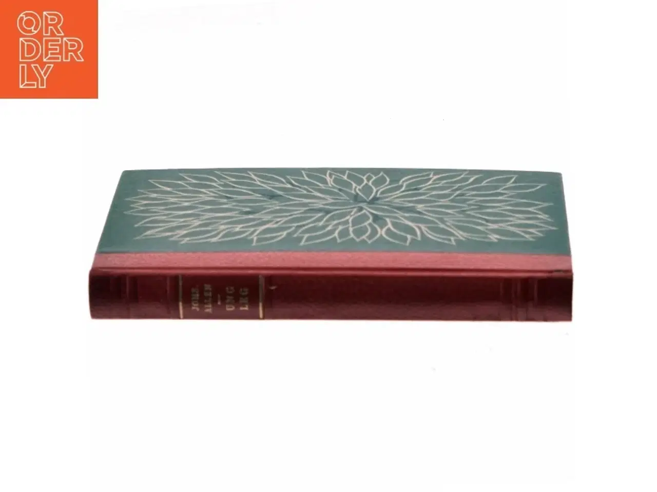 Billede 2 - Kong Løg af Jørgen Jensen (Bog)