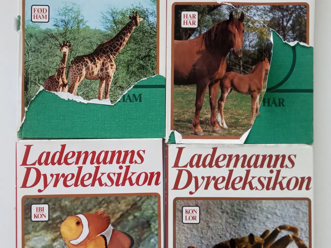 Billede 3 - Lademans Dyreleksikon