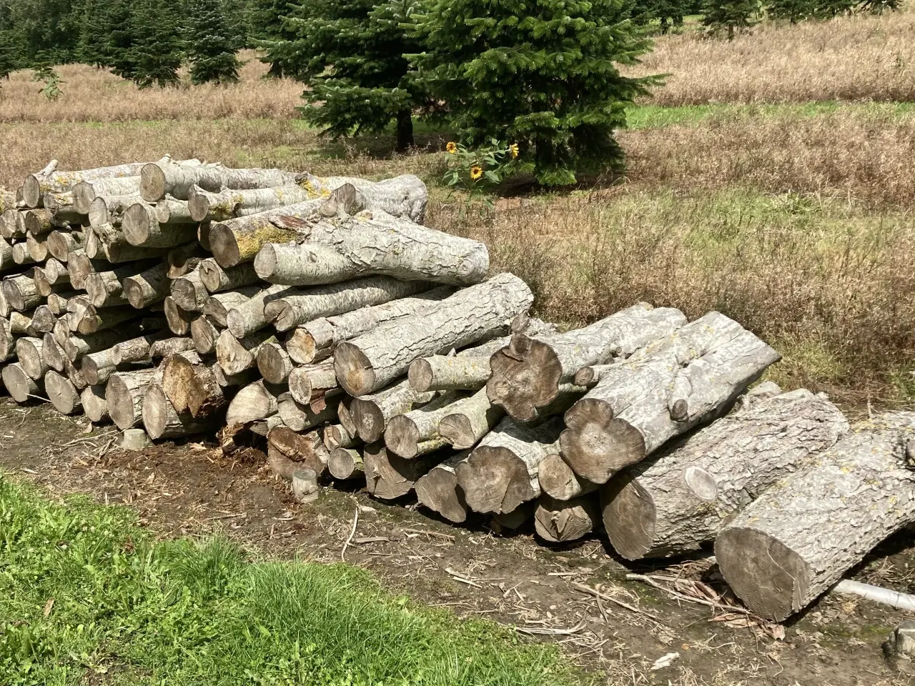 Billede 1 - 3 m/3 Brænde blandet, skåret i 1,0 meter stykker