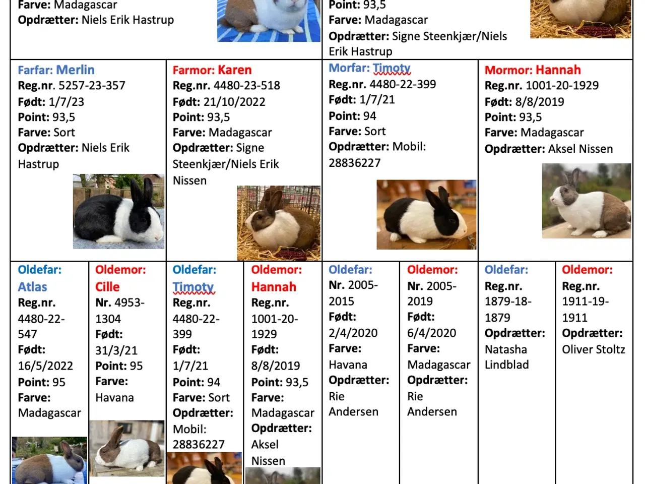 Billede 6 - HOLLÆNDER HAN MADAGASCAR