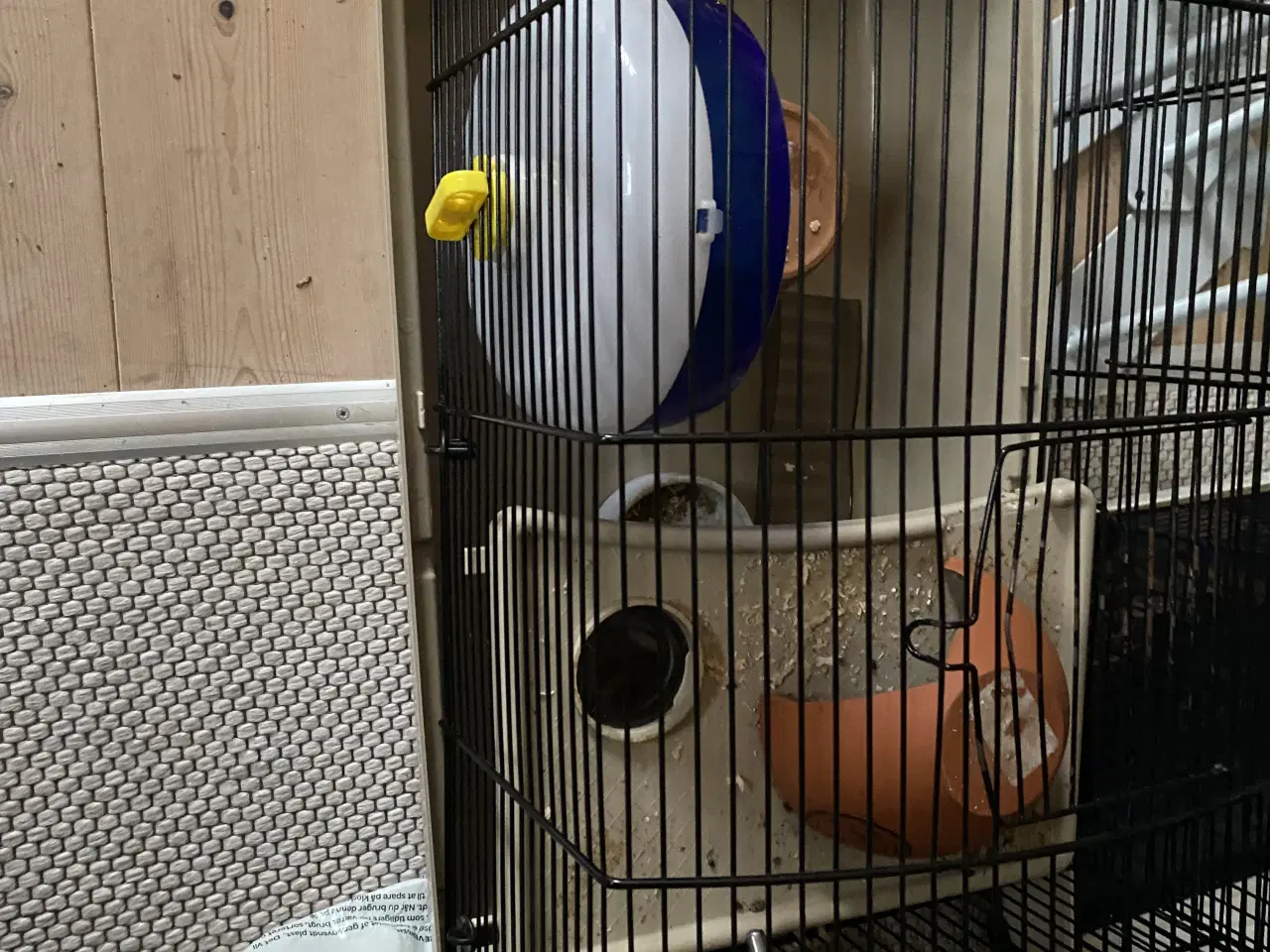 Billede 4 - Vinterhvid hamster m 2 bure og meget andet 