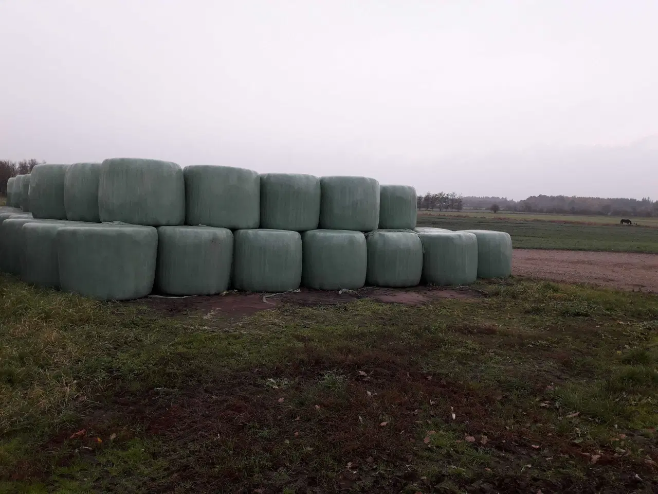 Billede 1 - Wrap Hø