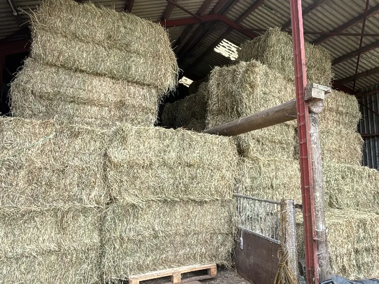 Billede 1 - Frisk hø med analyse