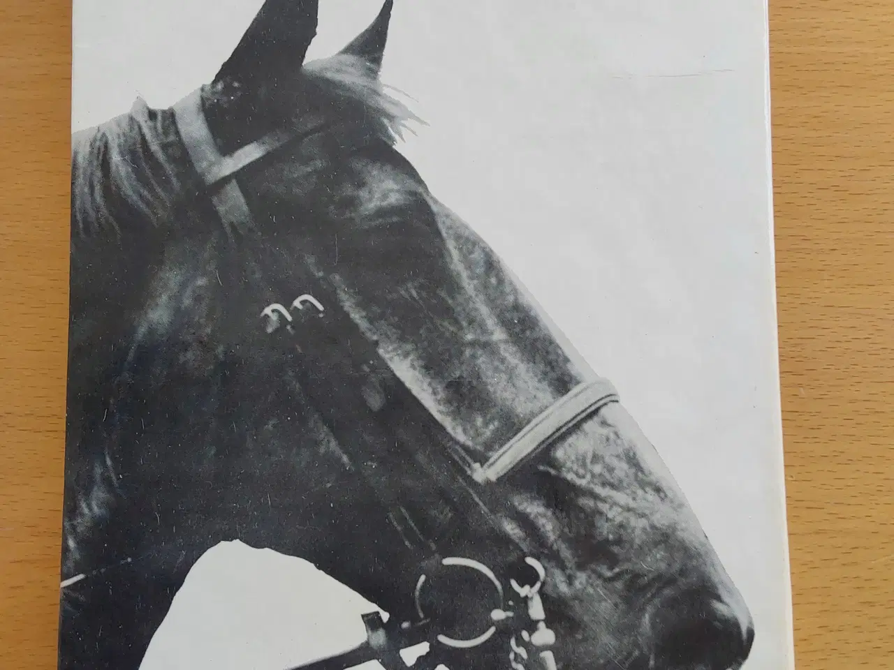 Billede 2 - Flanagan - Historien om en hest