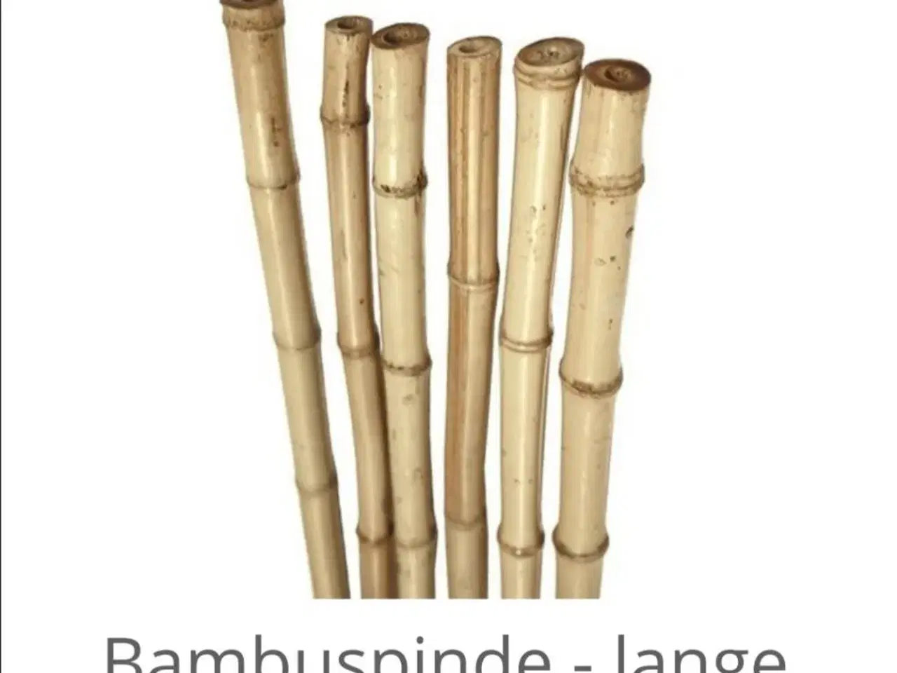 Billede 1 - Bambus stænger 240 cm