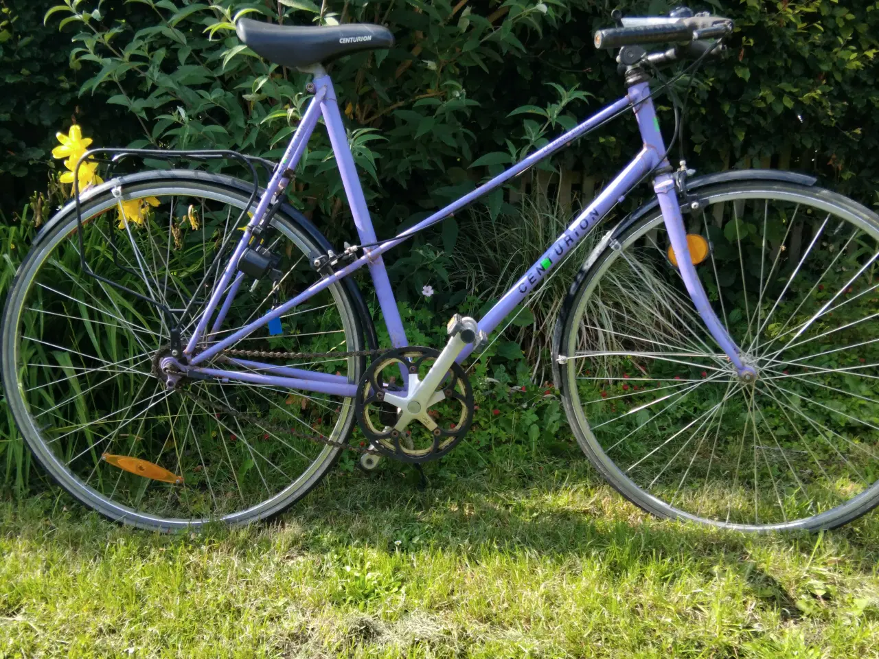 Billede 1 - Centurion mixte 