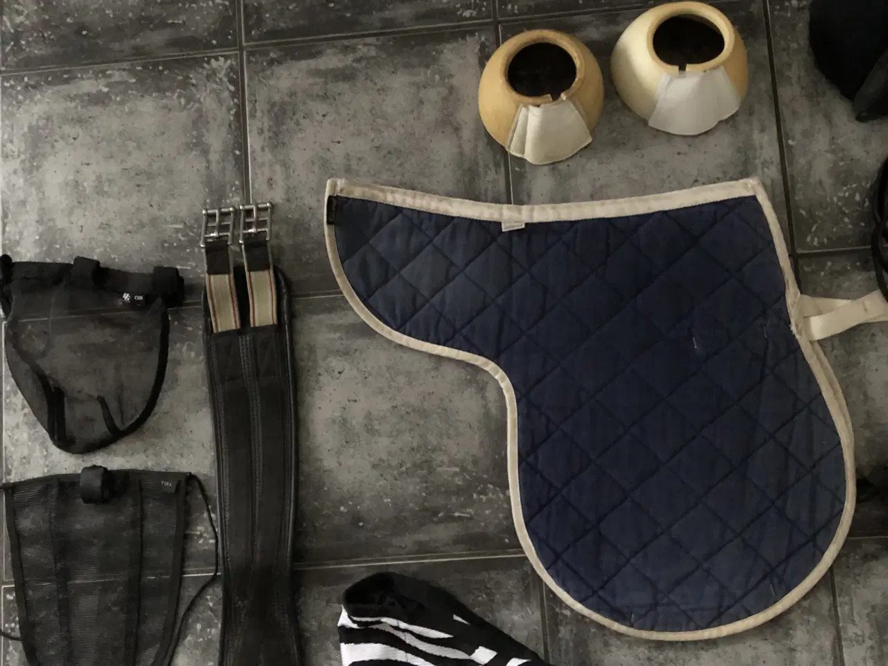 Billede 5 - rideudstyrs pakke med bla trense og longegjord