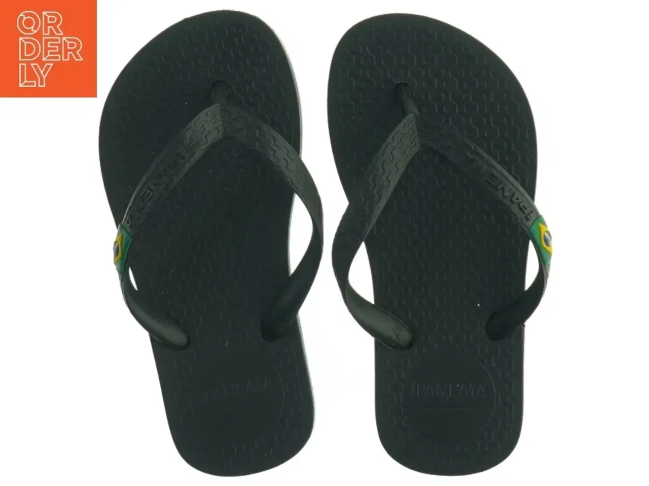 Billede 1 - Sorte klipklappere fra Havaina (str. 25)