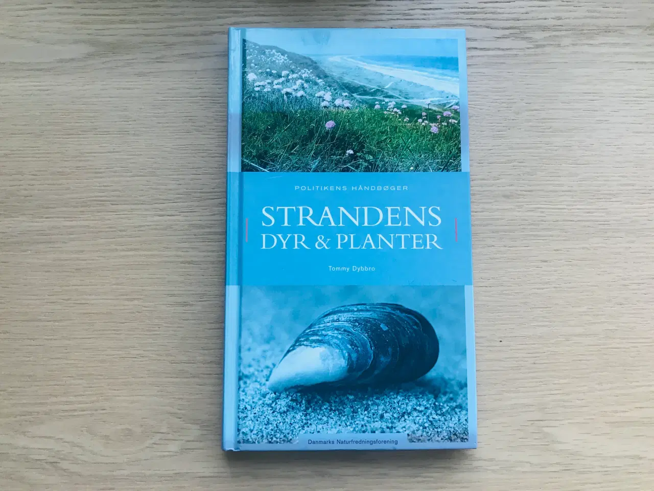 Billede 1 - Strandens Dyr & Planter - Tommy Dybbro