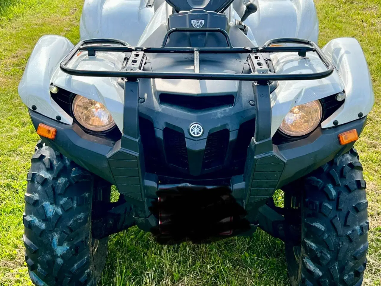 Billede 1 - Yamaha Grizzly 700