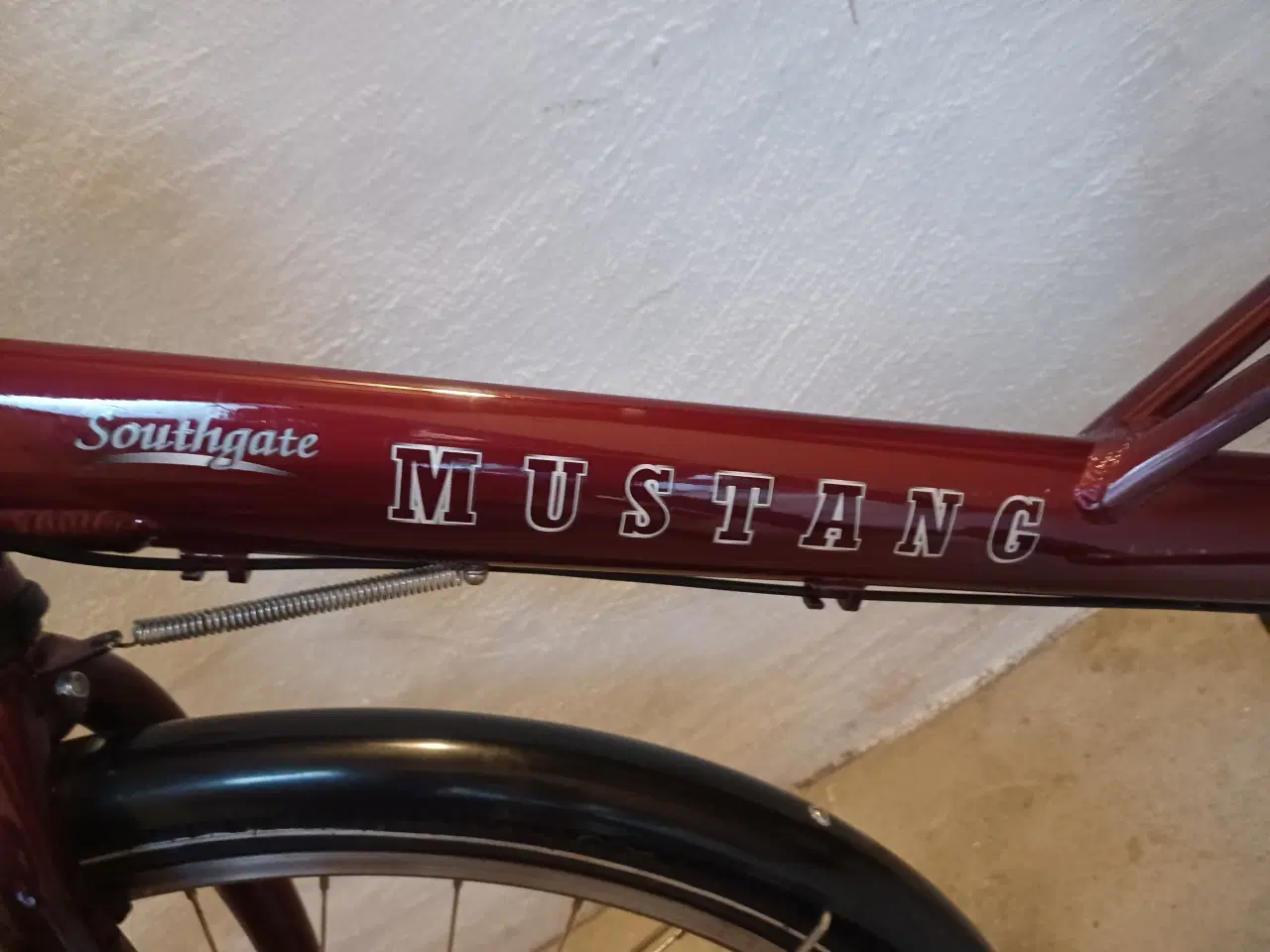 Billede 12 - En flot Mustang