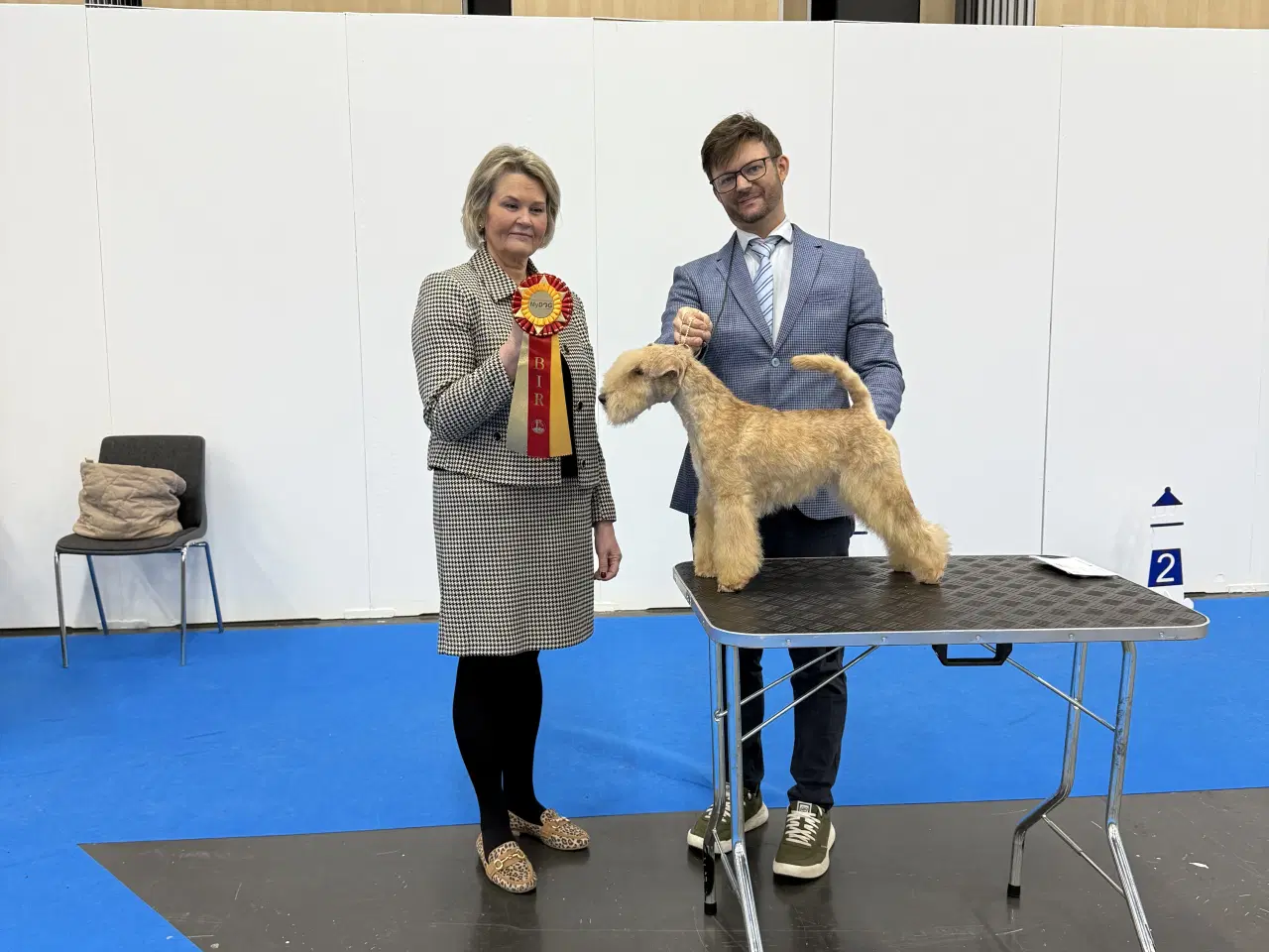 Billede 5 - Lakeland Terrier 