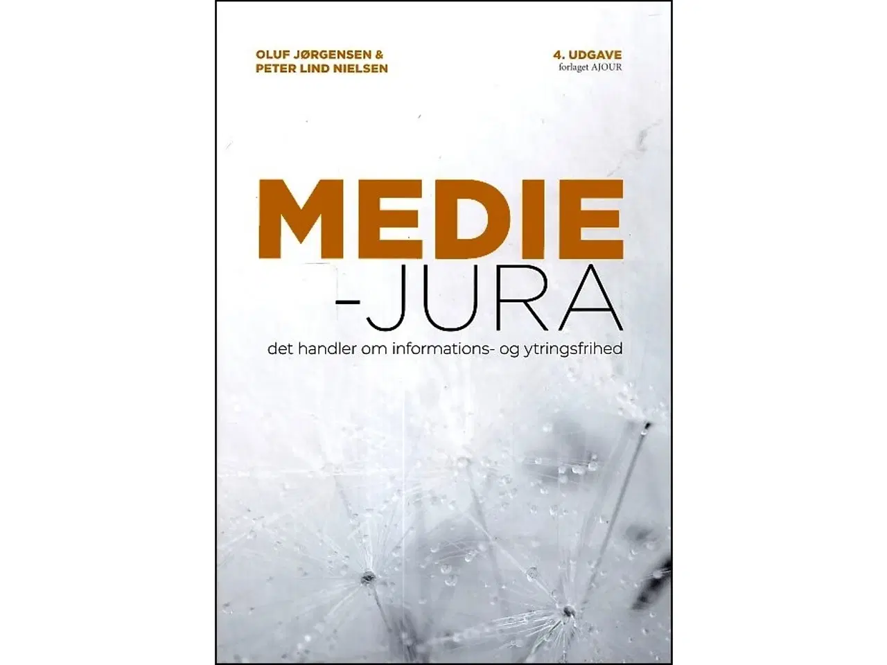 Billede 1 - Mediejura