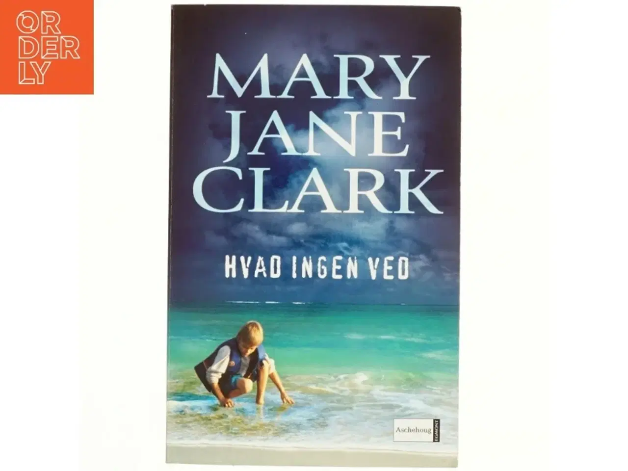 Billede 1 - Hvad ingen ved af Mary Jane Clark (Bog)